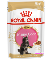 Royal Canin (Роял Канин) MAINE COON KITTEN Влажный корм для котят породы мейн-кун в возрасте до 15 месяцев