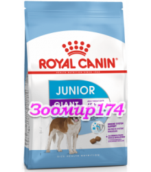 Royal Canin (Роял канин) Giant JUNIOR Корм для щенков с 8 до 18/24 месяцев